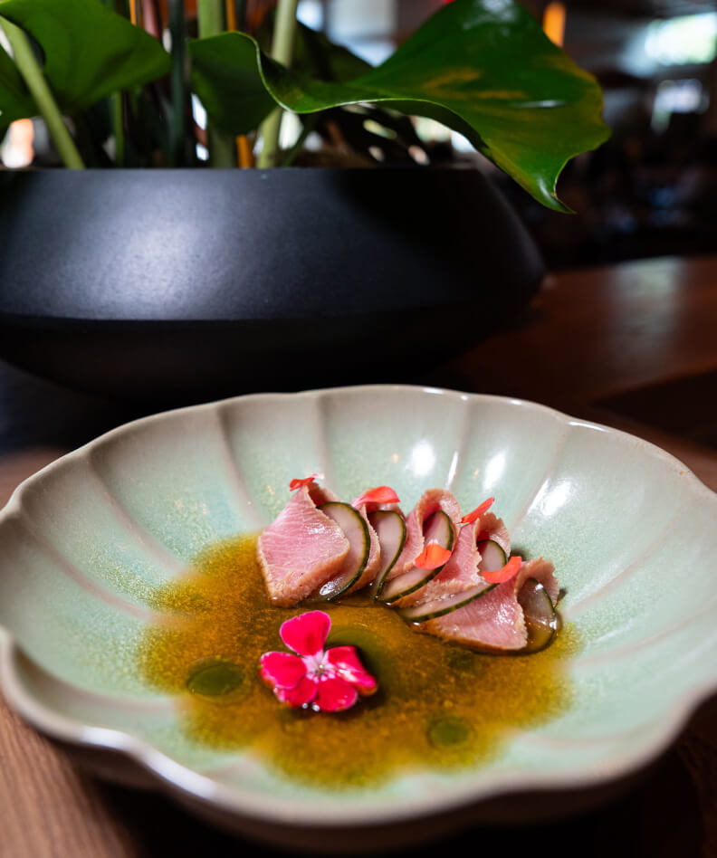A green ceramic bowl holds several slices of sashimi with garnish, placed on a wooden table with a plant in a black pot in the background.